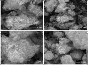 2021年南京農業大學園藝學院的那些高水平研究成果
