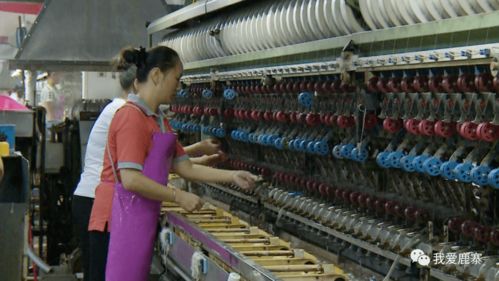 寨沙桑蠶業(yè)成為撬動(dòng)鄉(xiāng)村振興的有力杠桿